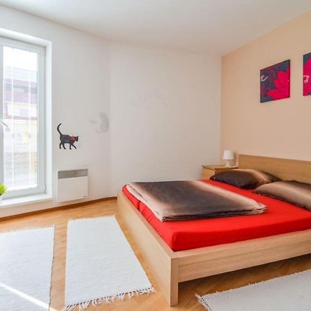 Apartman U Kostela Destne v Orlickych horach Dış mekan fotoğraf