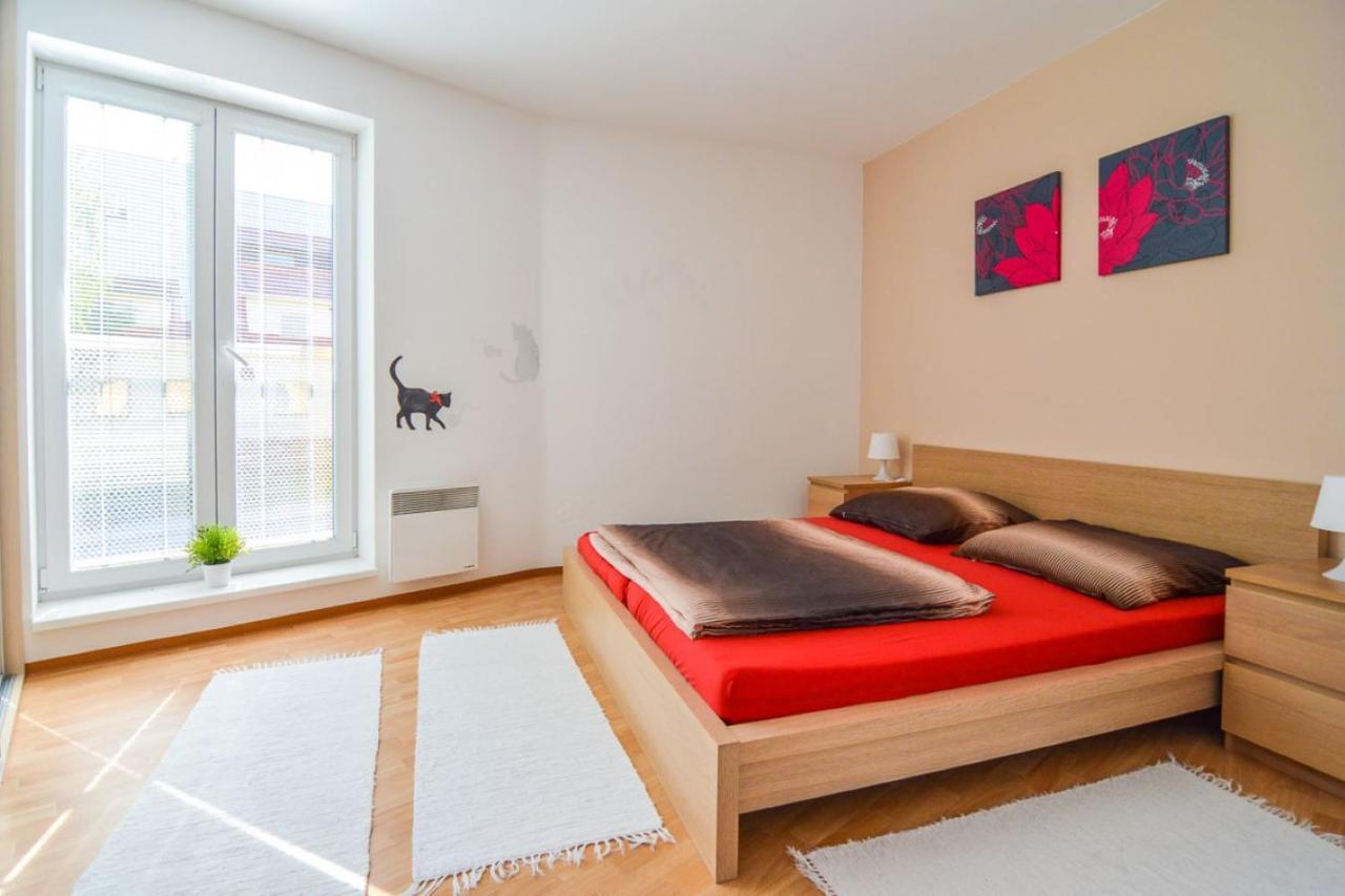 Apartman U Kostela Destne v Orlickych horach Dış mekan fotoğraf